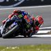 Yamaha pronta para o Grande Prêmio de Aragón da MotoGP
